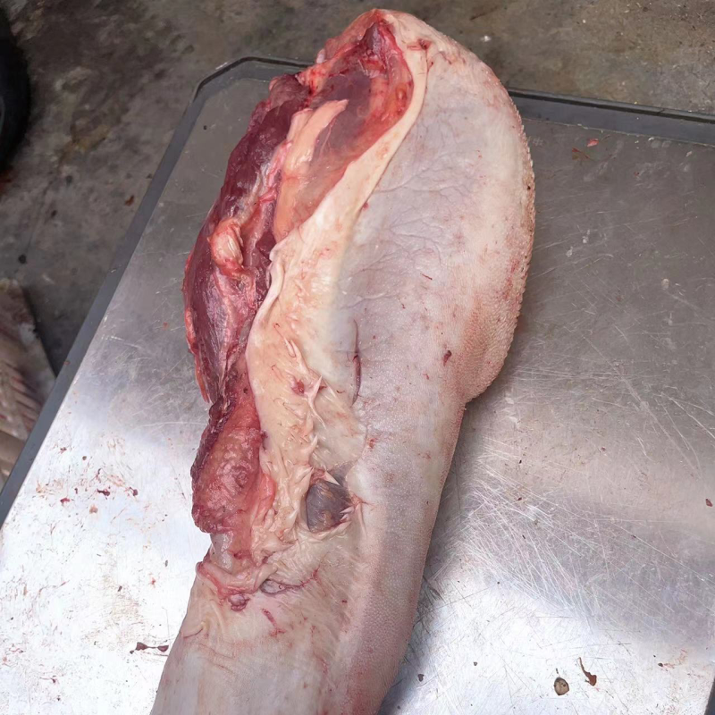 清真牛舌牛口条肉质鲜嫩一手货源价格便宜批发零售