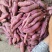 商薯19三两起步无虫眼无裂囗条形好！颜色鲜百亩红基地