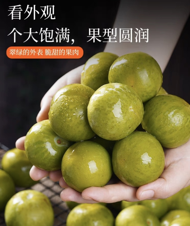 蜂糖李空心李脱壳李脆李子保质保量