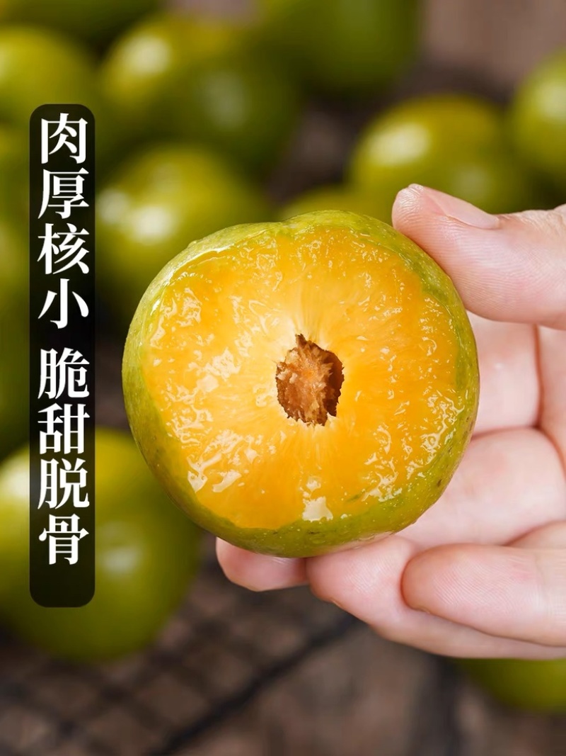 蜂糖李空心李脱壳李脆李子保质保量