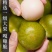 蜂糖李空心李脱壳李脆李子保质保量