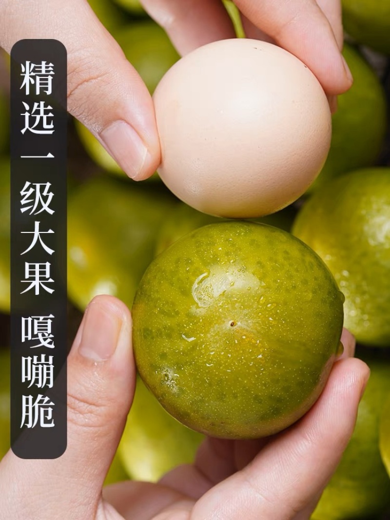蜂糖李空心李脱壳李脆李子保质保量