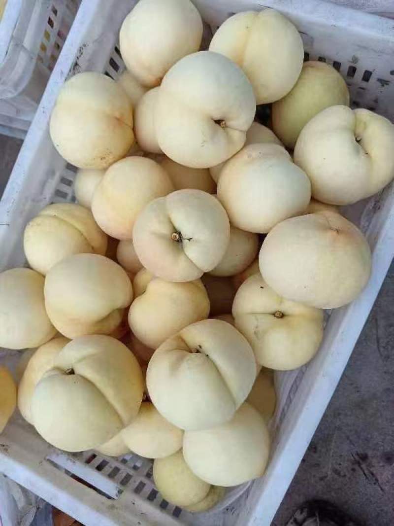 白桃
