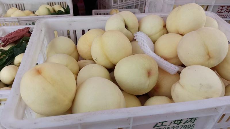 白桃