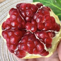 突尼斯软籽石榴大量上市，欢迎抢购