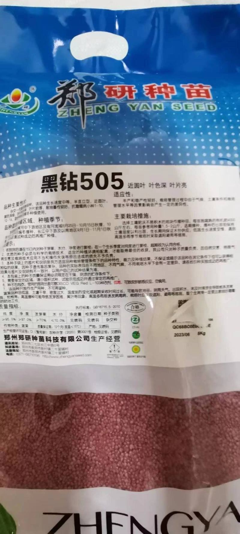 黑钻505菠菜种子杂交菠菜种子黑圆叶叶片厚大当家