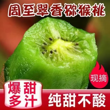 周至翠香猕猴桃