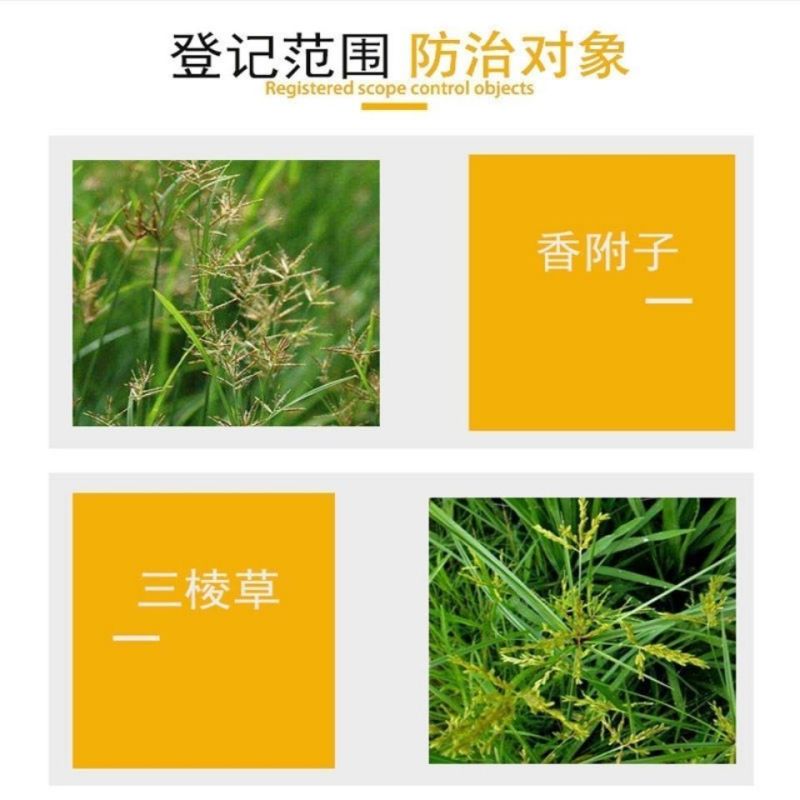 莎阔兵氯吡嘧磺隆水稻阔叶杂草莎草香附子烂根除