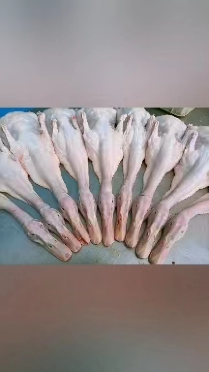 精品白条鸭厂家发货量大从优欢迎全国老板前来考察