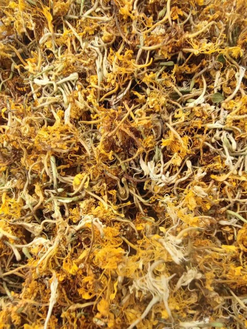 【基地直供】金银花贵州黔西南产地批发常年有货无硫无霉