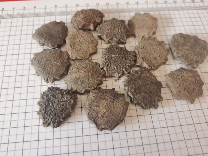 木鳖子永发药材大全木鳖子