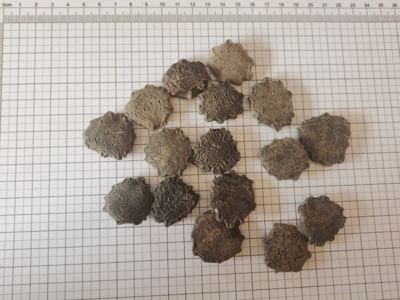 木鳖子永发药材大全木鳖子