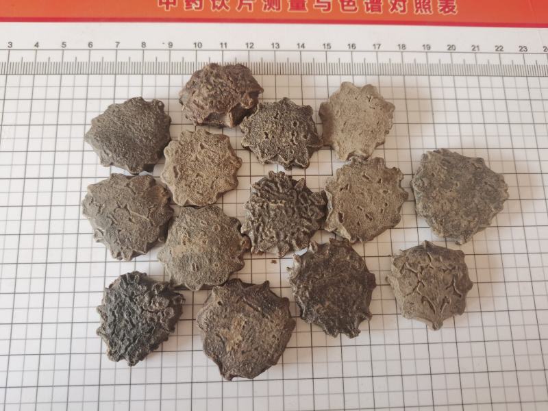 木鳖子永发药材大全木鳖子