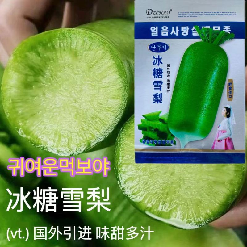 冰糖雪梨萝卜种子水果萝卜种籽天津沙窝甜脆特大籽种青四季孑