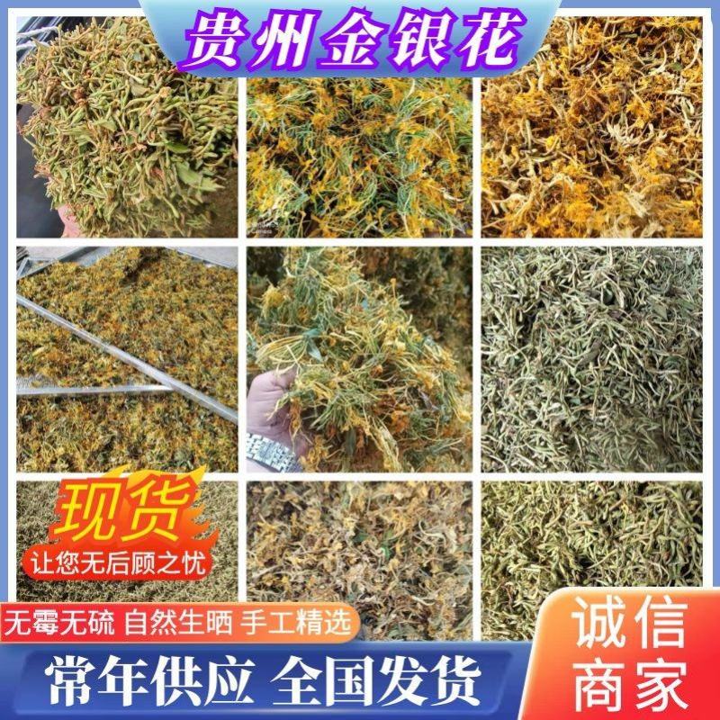 《推荐》金银花贵州金银花无霉无硫无杂质，常年供应