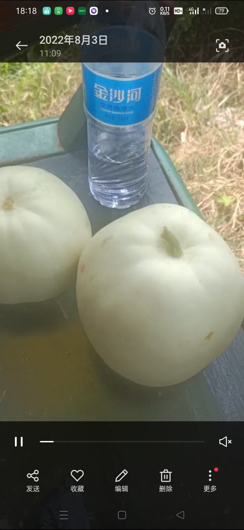 各种精美甜瓜应有尽有！价格优美欢迎骚扰！
