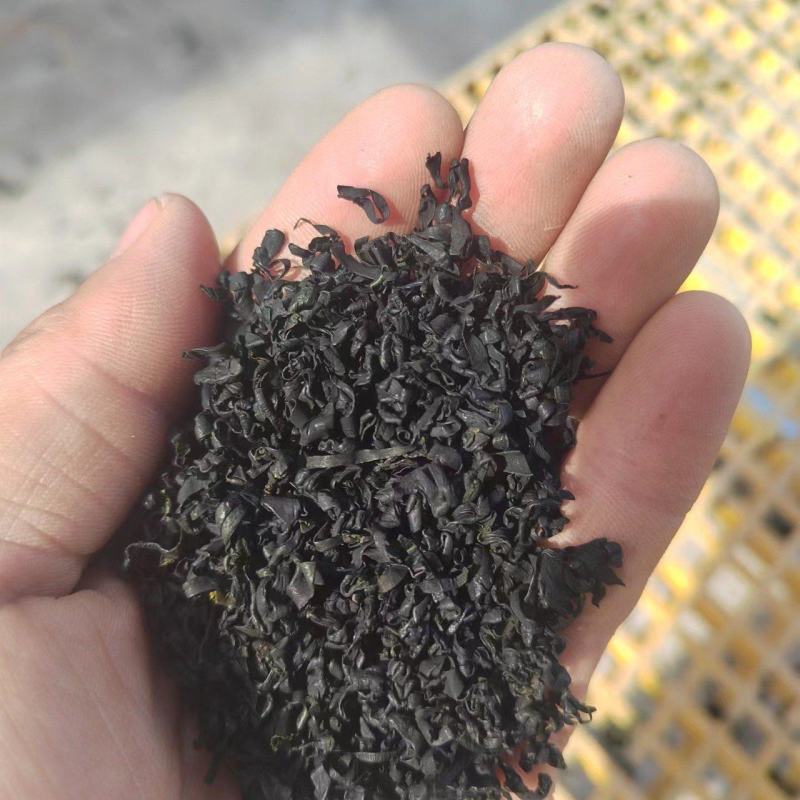海青菜淡干裙带菜