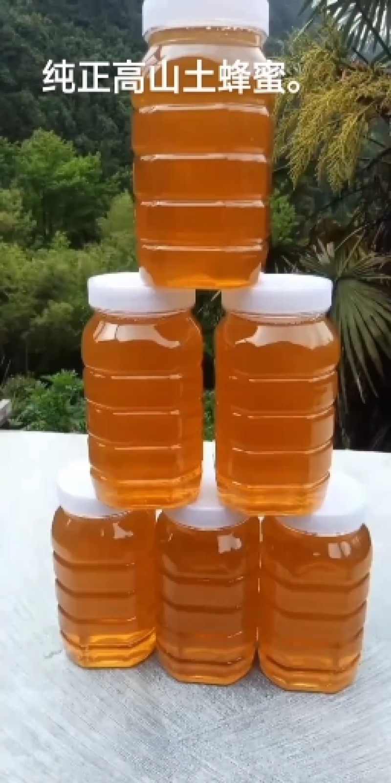 纯正土蜂蜜