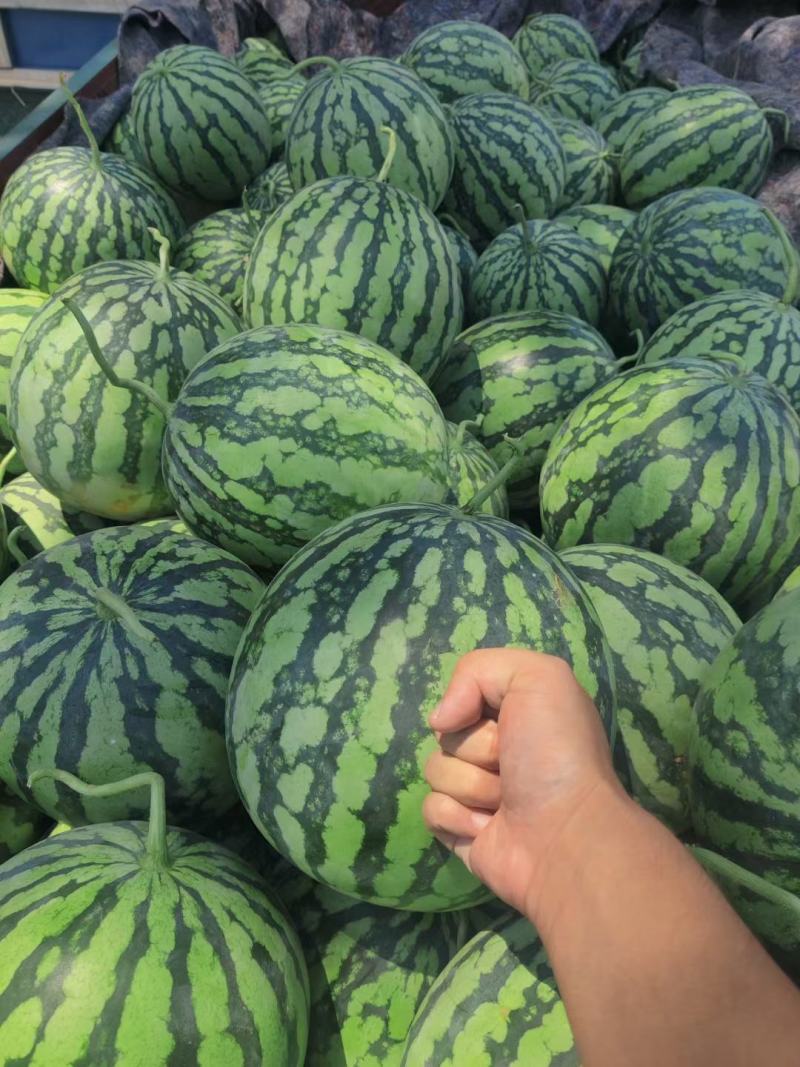 麒麟西瓜