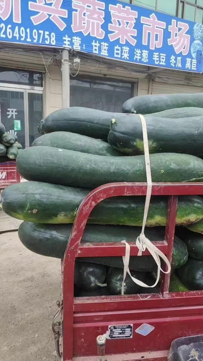 黑皮冬瓜