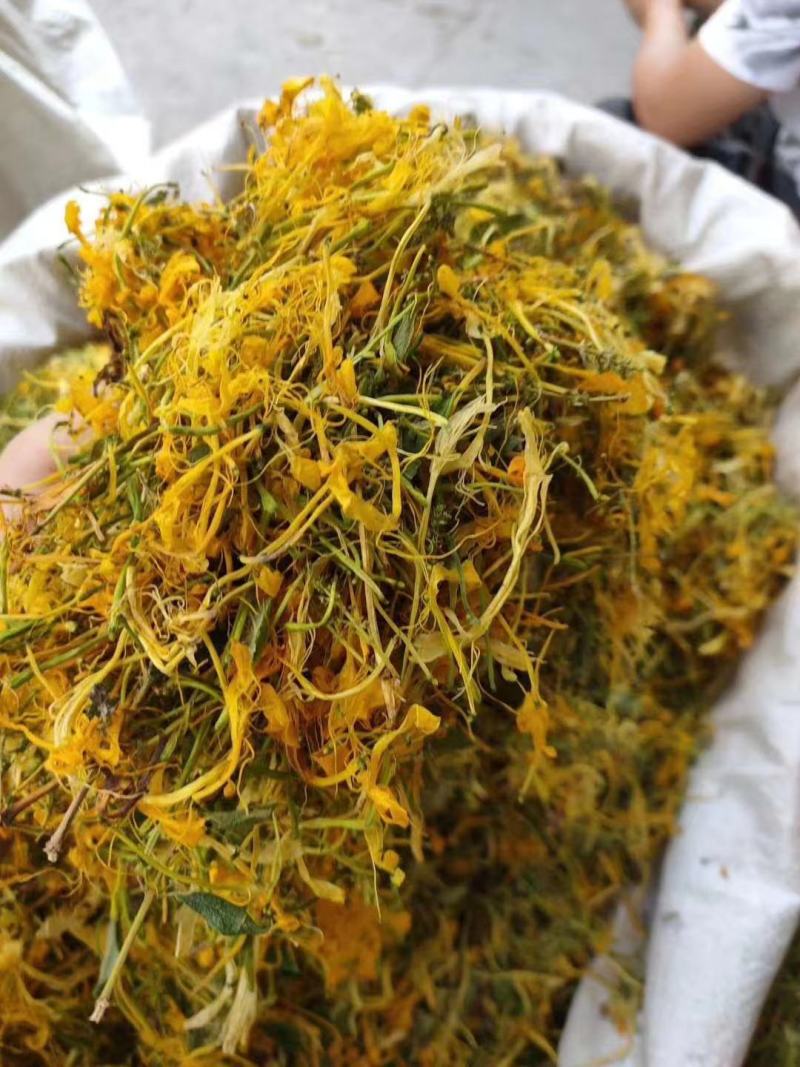 湖南金银花青茶五彩花现货供应库存充足大货批发