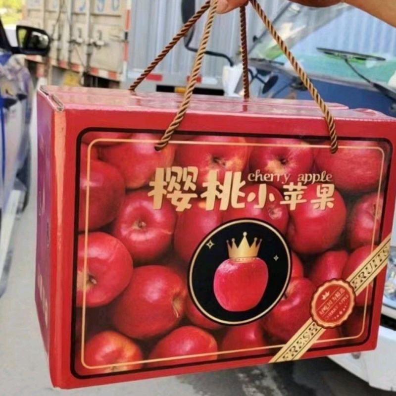 （代办）昭通冰糖心丑苹果糖心小苹果。一件代发，社区团购