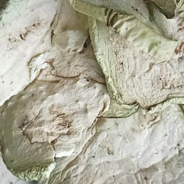 烘干茄子干