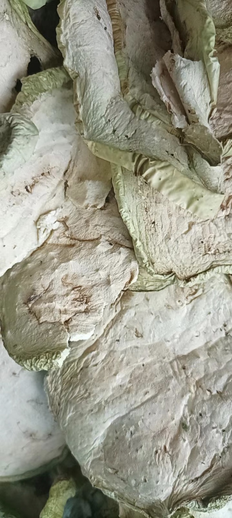 烘干茄子干