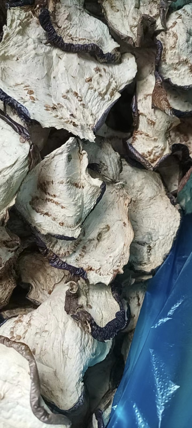 烘干茄子干
