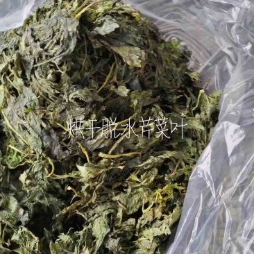 烘干芹菜叶
