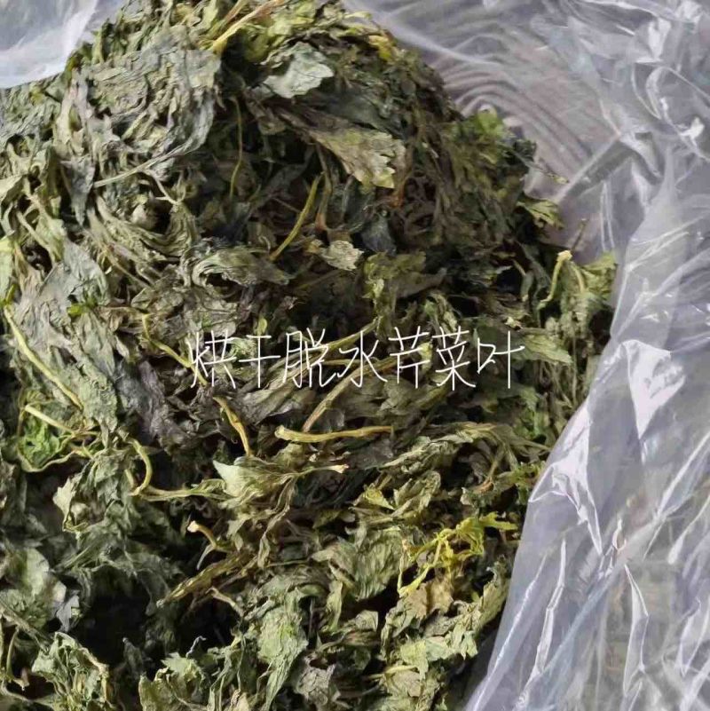 烘干芹菜叶