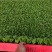 精品【黄白菜】玲珑黄白菜保证品质支持线上线下看货