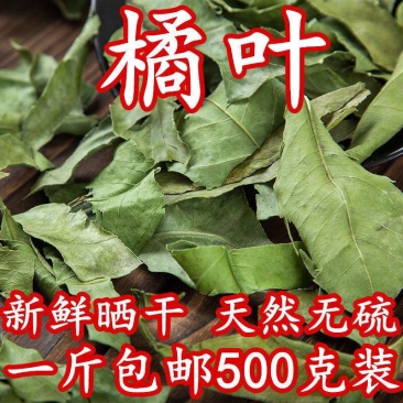 橘叶中药材橘子叶新鲜晒干金桔叶橘子茶橘子叶
