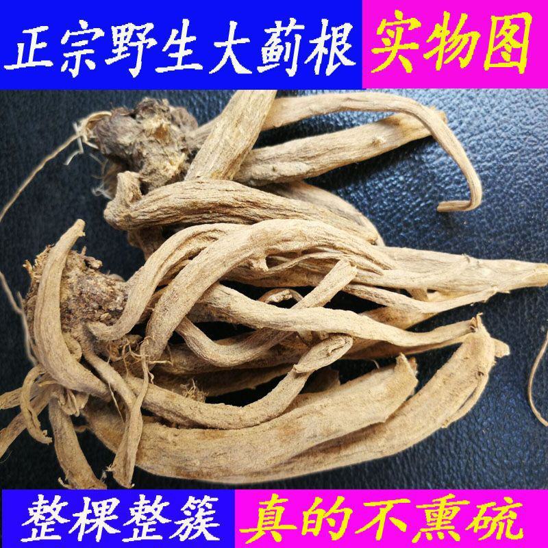 大蓟根中药材新鲜大蓟根干货大计根野芥菜根刺蓟新货可