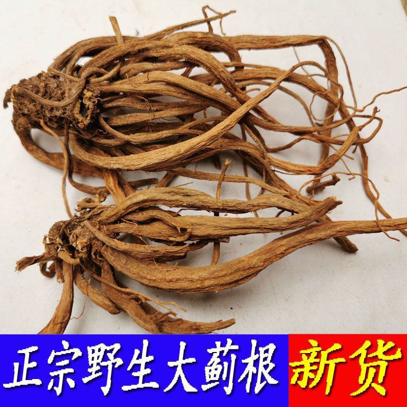 大蓟根中药材新鲜大蓟根干货大计根野芥菜根刺蓟新货可