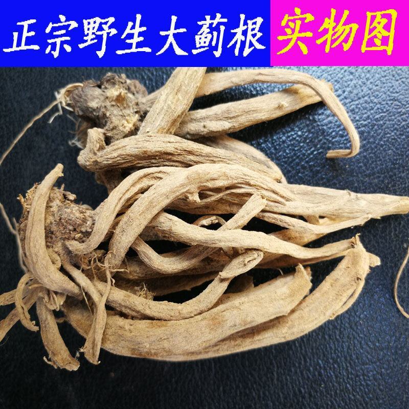 大蓟根中药材新鲜大蓟根干货大计根野芥菜根刺蓟新货可