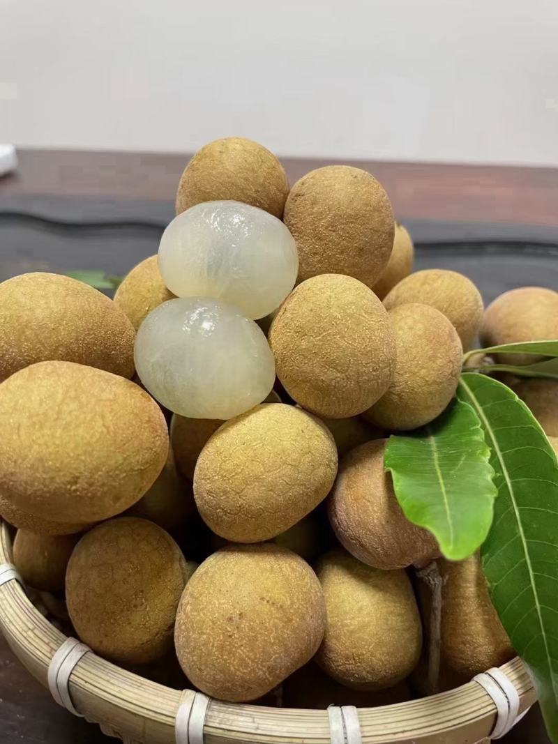 广东高卅荷塘石硖，储良龙眼大量上市
