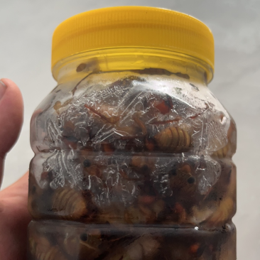 瓶装电商货大量库存一百规格。支持一件代发顺丰包邮