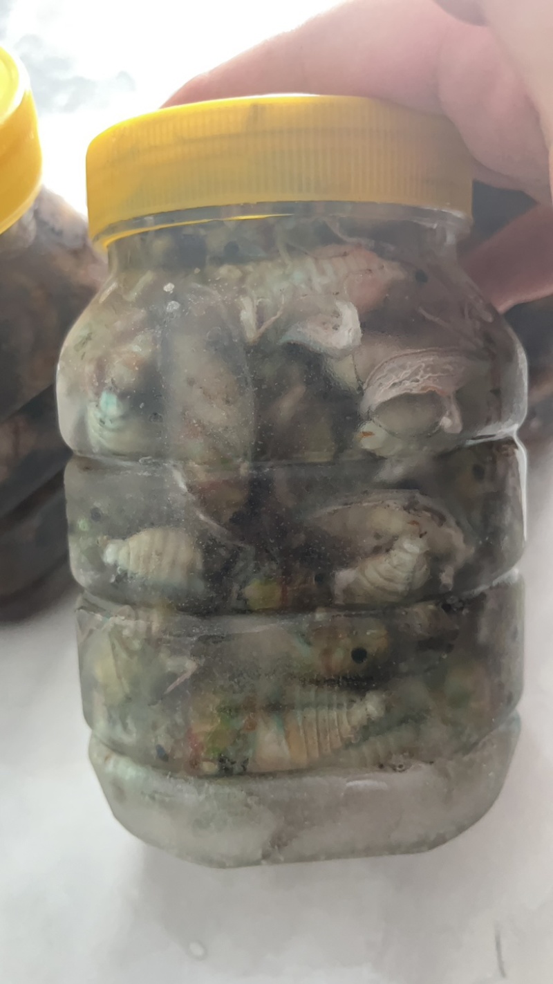 瓶装电商货大量库存一百规格。支持一件代发顺丰包邮