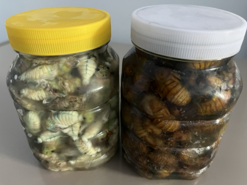 瓶装电商货大量库存一百规格。支持一件代发顺丰包邮