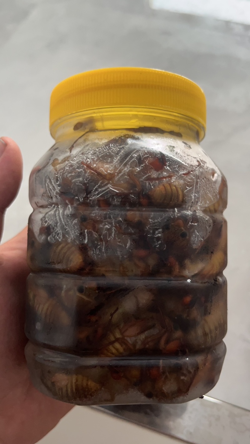 瓶装电商货大量库存一百规格。支持一件代发顺丰包邮