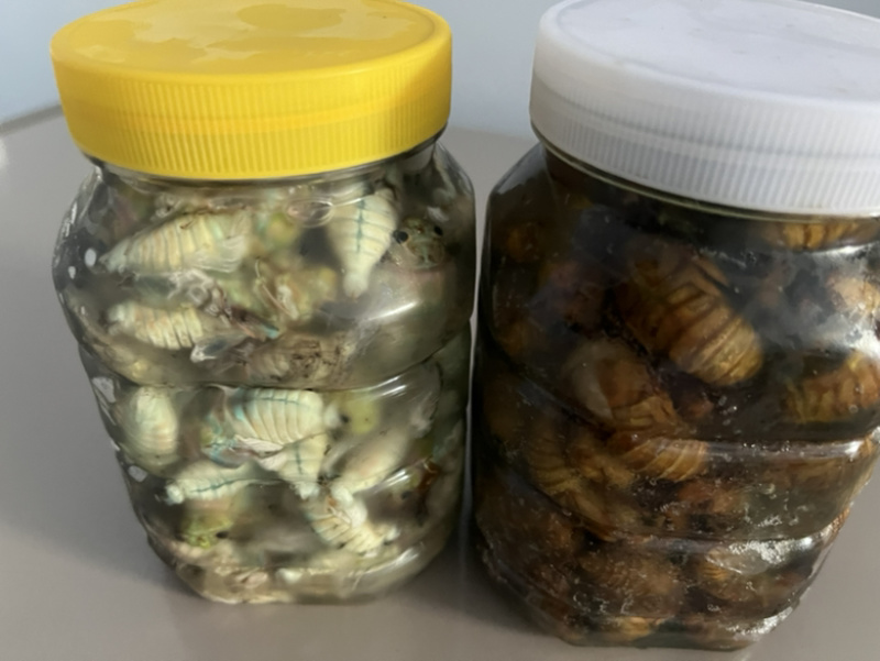 瓶装电商货大量库存一百规格。支持一件代发顺丰包邮
