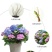代做组培苗-木本草本植物都可以公司是做组培研发新品