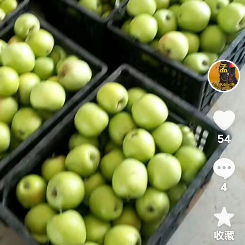 山东平度华硕苹果大量上市