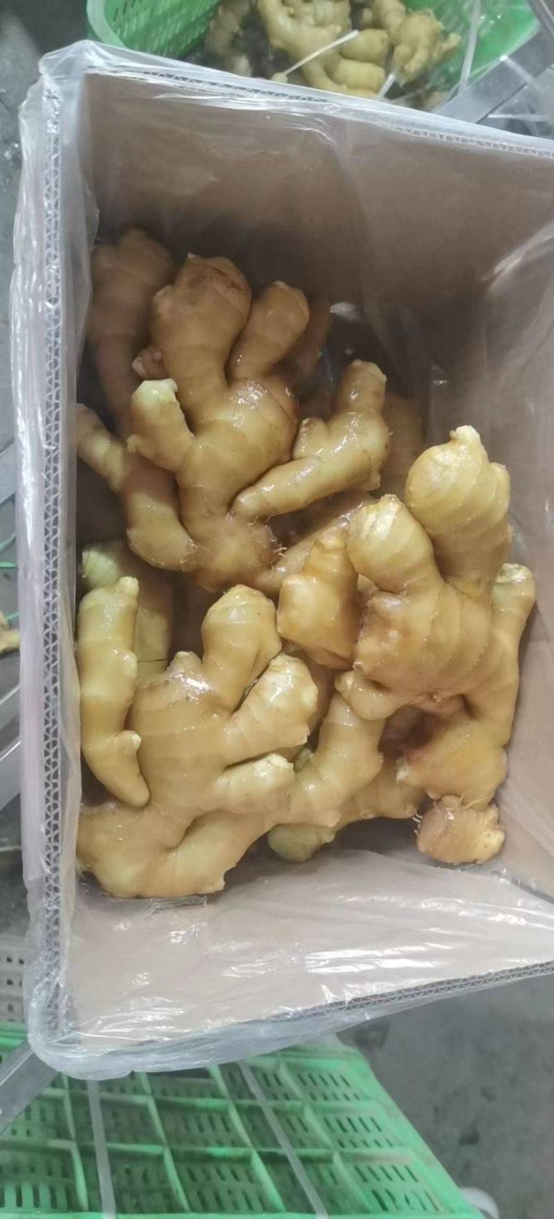常年供应大黄姜，小黄姜，姜把，水洗姜，电商社区团购，全国