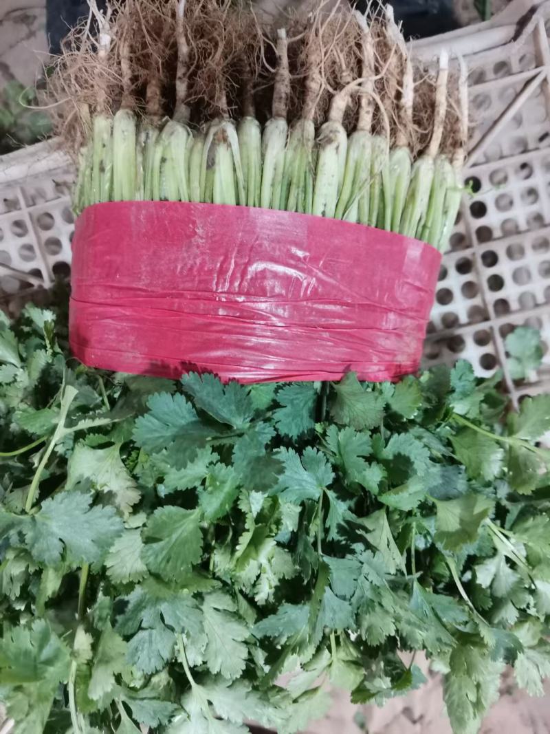 有需要随时联系
