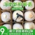 【招代理】海南椰子耶青4-9个装支持各大平台电商一件代发