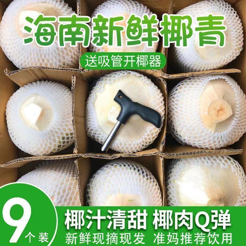 【招代理】海南椰子耶青4-9个装支持各大平台电商一件代发