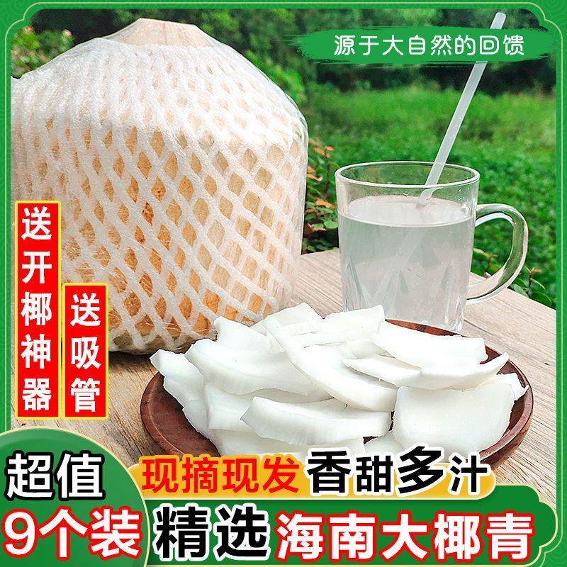 【招代理】海南椰子耶青4-9个装支持各大平台电商一件代发