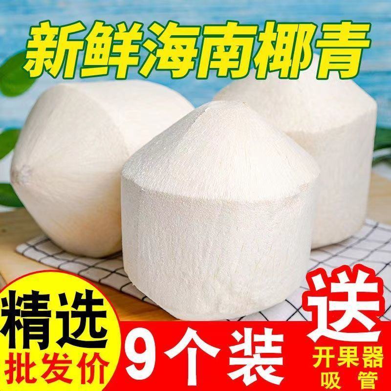 【招代理】海南椰子耶青4-9个装支持各大平台电商一件代发